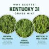 Scotts Kentucky 31 Grass Seed Mix for New Lawns or Overseeding - Lawn Grass Seed That Grows Thicker and Greener vs. Other Kentucky 31 Mixes, Covers up to 10,000 sq. ft.