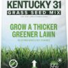 Scotts Kentucky 31 Grass Seed Mix for New Lawns or Overseeding - Lawn Grass Seed That Grows Thicker and Greener vs. Other Kentucky 31 Mixes, Covers up to 5,000 sq. ft.