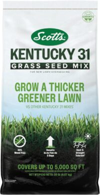 Scotts Kentucky 31 Grass Seed Mix for New Lawns or Overseeding - Lawn Grass Seed That Grows Thicker and Greener vs. Other Kentucky 31 Mixes, Covers up to 5,000 sq. ft.