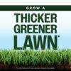 Scotts Kentucky 31 Grass Seed Mix for New Lawns or Overseeding - Lawn Grass Seed That Grows Thicker and Greener vs. Other Kentucky 31 Mixes, Covers up to 5,000 sq. ft.