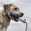 SportDOG FieldTrainer 425X - Remote Trainer Designed for Off-Leash Control & Training - 500-Yard Range - Waterproof - Quick Charge-Collar with 21 Levels of Static, Tone, & Vibration SportDOG FieldTrainer 425X - Remote Trainer Designed for Off-Leash Control & Training - 500-Yard Range - Waterproof - Quick Charge-Collar with 21 Levels of Static, Tone, & Vibration