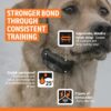 SportDOG FieldTrainer 425X - Remote Trainer Designed for Off-Leash Control & Training - 500-Yard Range - Waterproof - Quick Charge-Collar with 21 Levels of Static, Tone, & Vibration SportDOG FieldTrainer 425X - Remote Trainer Designed for Off-Leash Control & Training - 500-Yard Range - Waterproof - Quick Charge-Collar with 21 Levels of Static, Tone, & Vibration