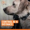 SportDOG FieldTrainer 425X - Remote Trainer Designed for Off-Leash Control & Training - 500-Yard Range - Waterproof - Quick Charge-Collar with 21 Levels of Static, Tone, & Vibration SportDOG FieldTrainer 425X - Remote Trainer Designed for Off-Leash Control & Training - 500-Yard Range - Waterproof - Quick Charge-Collar with 21 Levels of Static, Tone, & Vibration