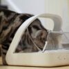 Sure Petcare -SureFlap - SureFeed - Microchip Pet Feeder - Selective-Automatic Pet Feeder Makes Meal Times Stress-Free, Suitable for Both Wet and Dry Food - MPF001