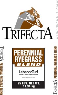 Trifecta II Gray Leaf Spot Resistant Perennial Ryegrass Blend 25 lb. Bag