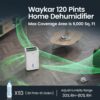 Waykar 120 Pints 2025 Energy Star Home Dehumidifier for Spaces up to 6,000 Sq. Ft, Ideal for Basement, Bathroom and Large Room with Drain Hose, Portable, Auto Defrost and Self-Drying