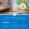 hOmeLabs Dehumidifier - Advanced Humidity & Moisture Control, Quiet, Efficient, Auto Shut-off, Ideal for Home, Basement, Office - 3,500 Sq Ft Wi-Fi (25 Pint MAX 64 Pint at 95°F, 90% RH)