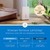hOmeLabs Dehumidifier - Advanced Humidity & Moisture Control, Quiet, Efficient, Auto Shut-off, Ideal for Home, Basement, Office - 4,500 Sq Ft Wi-Fi (32 Pint MAX 80 Pint at 95°F, 90% RH)