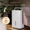 hOmeLabs Dehumidifier - Advanced Humidity & Moisture Control, Quiet, Efficient, Auto Shut-off, Ideal for Home, Basement, Office - 4,500 Sq Ft Wi-Fi (32 Pint MAX 80 Pint at 95°F, 90% RH)