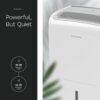 hOmeLabs Dehumidifier for Home, Office, Basements with Powerful Moisture Removal, Humidity Control, Auto Shut-off, Quiet Operation - 6,000 Sq Ft Rooms (40 Pint MAX 104 Pint at 95°F, 90% RH) with Pump