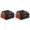 Bosch GBA18V80-2PK PROFACTOR 18 -Volt 2 -Pack Lithium-ion ( 8 Ah 8 Ah Battery )