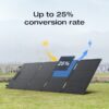 EcoFlow R3-45W-US 300 -Watts Portable Power Station (1 Solar Panel Included) (Battery Included and Charger Not Included)