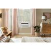 Frigidaire FHWW105WE1 Inverter Medium Room Window Air Conditioner , Remote Included ( 115-Volt , 10000-BTU )
