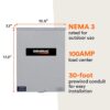 Generac RXSW100A3 100 -Amp Service rated single-phase Automatic Transfer Switch Generac RXSW100A3 100 -Amp Service rated single-phase Automatic Transfer Switch