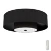 Hunter 52975 Jasmine Roth Brookside 30-in Matte Black with Matte Black Blades Fandelier Ceiling Fan With Light 3 -Blade