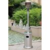 Master Forge FHTS80001D 48000 -BTU Stainless steel Stainless steel Floorstanding Liquid propane Patio Heater