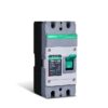 Renogy 150-amp 2 -Pole Standard trip Plug-On Neutral Circuit Breaker