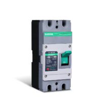 Renogy 150-amp 2 -Pole Standard trip Plug-On Neutral Circuit Breaker