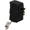 Square D QO230GFIC QO 30-amp 2 -Pole GFCI Circuit Breaker