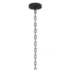 allen + roth CH31-4MBK Lane 4 -Light Matte Black Transitional Metal Square Medium Outdoor Hanging Pendant Light