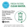 A.O. Smith Clean Water System Remineralizer And Under Sink 12-Months Replacement Filter
