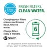 A.O. Smith Clean Water System with RO and Microbial Boost Under Sink 6-Months Replacement Filter