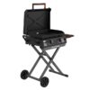 Blackstone 2446 22-in Culinary Omnivore Griddle with Flexfold Legs 361-Sq. in Black Powder Coat Portable Liquid propane Grill