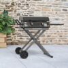 Blackstone 2446 22-in Culinary Omnivore Griddle with Flexfold Legs 361-Sq. in Black Powder Coat Portable Liquid propane Grill