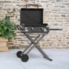 Blackstone 2446 22-in Culinary Omnivore Griddle with Flexfold Legs 361-Sq. in Black Powder Coat Portable Liquid propane Grill