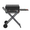 Blackstone 2446 22-in Culinary Omnivore Griddle with Flexfold Legs 361-Sq. in Black Powder Coat Portable Liquid propane Grill