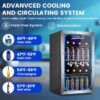 COWSAR W5899SSH 17.5-in W 130 -Can Capacity Stainless Steel Freestanding Indoor Beverage Refrigerator with Glass Door