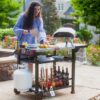 Feasto B2BAP50-845001L Grill Cart Stainless Steel+Cover Steel Grill cart