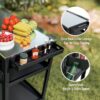 Feasto B2BST3201B Stainless Steel Steel Grill cart