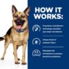 Hill's Prescription Diet Gastrointestinal Biome Digestive/Fiber Care Chicken & Vegetable Stew Wet Dog Food, 12.5 oz., Case of 12