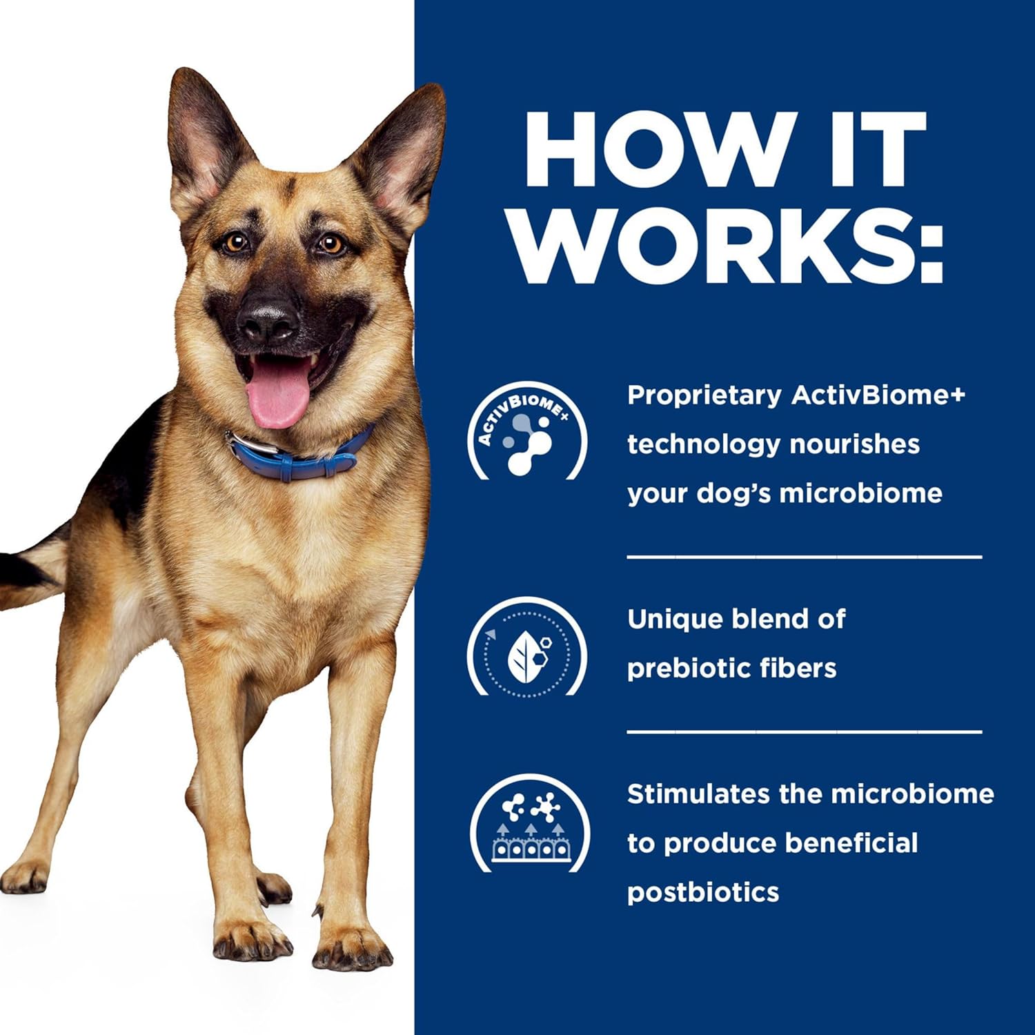 Hill's Prescription Diet Gastrointestinal Biome Digestive Fiber Care with Chicken Dry Dog food, 16 lbs.12 Hill's Prescription Diet Gastrointestinal Biome Digestive/Fiber Care with Chicken Dry Dog food, 16 lbs.