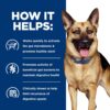 Hill's Prescription Diet Gastrointestinal Biome Digestive/Fiber Care with Chicken Dry Dog food, 8 lbs. Hill's Prescription Diet Gastrointestinal Biome Digestive/Fiber Care with Chicken Dry Dog food, 8 lbs.