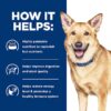 Hill's Prescription Diet i/d AB+ Chicken & Vegetable Stew Wet Dog Food, 2.8 oz., Case of 24