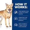 Hill's Prescription Diet i/d AB+ Chicken & Vegetable Stew Wet Dog Food, 2.8 oz., Case of 24