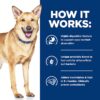 Hill's Prescription Diet i/d Digestive Care Chicken Flavor Dry Dog Food, 27.5 lbs. Hill's Prescription Diet i/d Digestive Care Chicken Flavor Dry Dog Food, 27.5 lbs.