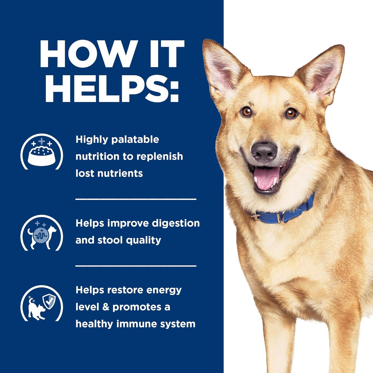 Hill's Prescription Diet i d Digestive Care Chicken & Vegetable Stew Canned Dog Food, 12.5 oz., Case of 1268 Hill's Prescription Diet i/d Digestive Care Chicken & Vegetable Stew Canned Dog Food, 12.5 oz., Case of 12