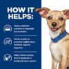 Hill's Prescription Diet i/d Digestive Care Small Bites Chicken Flavor Dry Adult & Puppy Dog Food, 7 lbs.