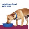 Hill's Prescription Diet i/d Digestive Care Small Bites Chicken Flavor Dry Adult & Puppy Dog Food, 7 lbs.