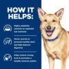 Hill's Prescription Diet i/d Digestive Care with Turkey Canned Dog Food, 13 oz., Case of 12