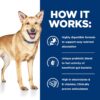 Hill's Prescription Diet i/d Digestive Care with Turkey Canned Dog Food, 13 oz., Case of 12