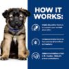 Hill's Prescription Diet i/d Digestive Care with Turkey Wet Puppy Food, 13 oz., Case of 12