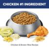 Hill's Science Diet Adult 7+ Perfect Digestion Chicken, Whole Oats & Brown Rice Recipe Dry Dog Food, 22 lbs.