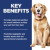 Hill's Science Diet Adult 7+ Perfect Digestion Chicken, Whole Oats & Brown Rice Recipe Dry Dog Food, 22 lbs.
