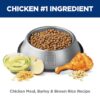 Hill's Science Diet Adult Healthy Mobility Small Bites Chicken Meal, Brown Rice & Barley Recipe Dry Dog Food, 30 lbs. Hill's Science Diet Adult Healthy Mobility Small Bites Chicken Meal, Brown Rice & Barley Recipe Dry Dog Food, 30 lbs.
