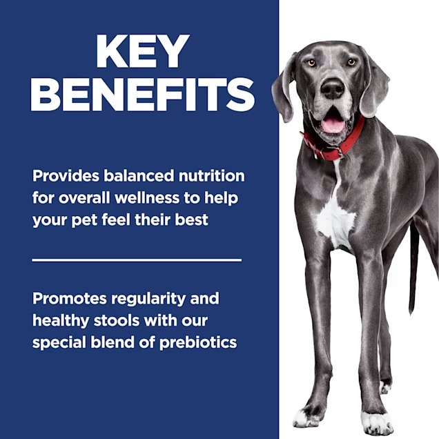 Hill's Science Diet Adult Perfect Digestion Chicken Large Breed Dry Dog Food, 22 lbs.465_11zon Hill's Science Diet Adult Perfect Digestion Chicken Large Breed Dry Dog Food, 22 lbs.