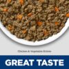 Hill's Science Diet Adult Perfect Digestion Chicken & Rice Entree Canned Dog Food, 12.8 oz., Case of 12